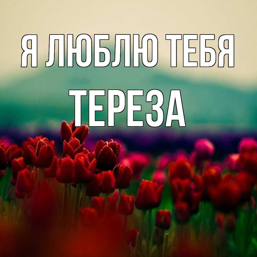 Открытка  с именем. Тереза, Я люблю тебя  