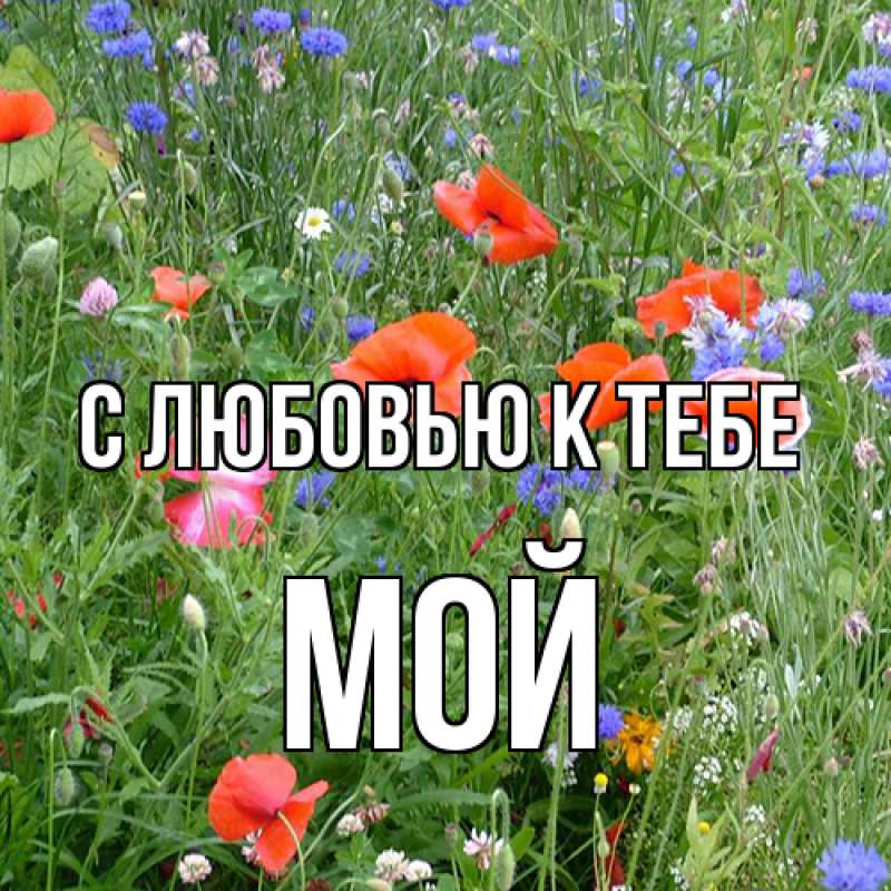 Картинка С любовью к тебе, Мой