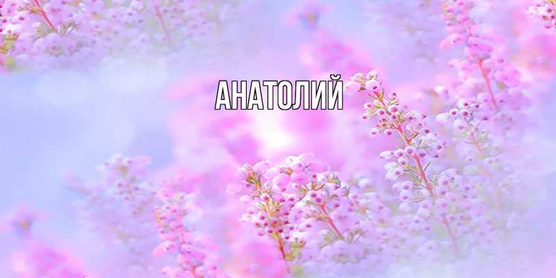 Картинка  с именем , Анатолий