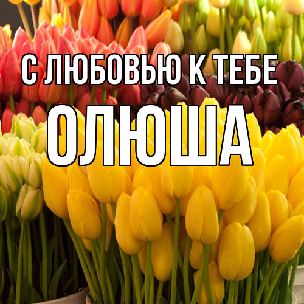 Открытка  с именем. Олюша, С любовью к тебе  