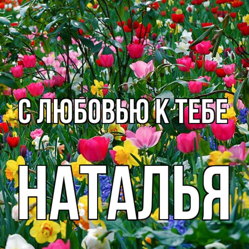 Картинка С любовью к тебе, Наталья