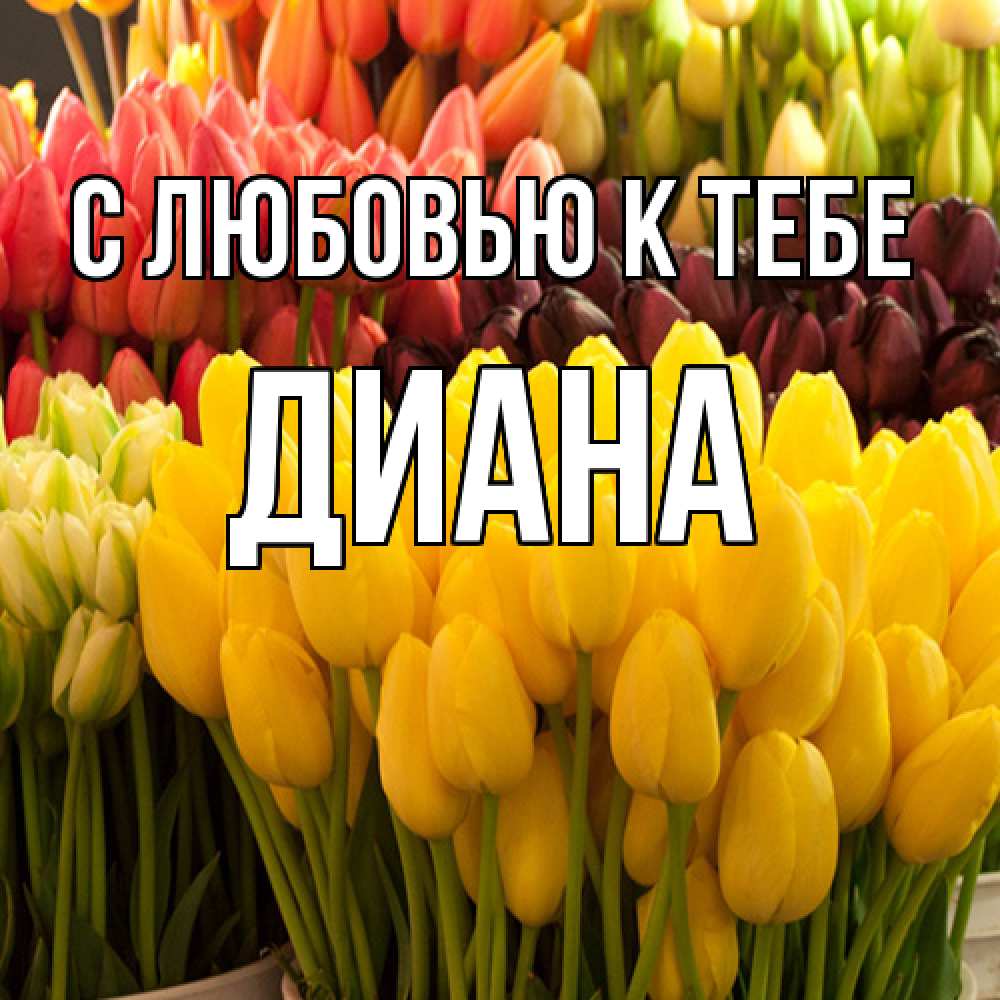 Открытка  с именем. Диана, С любовью к тебе  