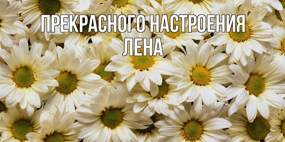 Открытка  с именем. Лена, Прекрасного настроения  