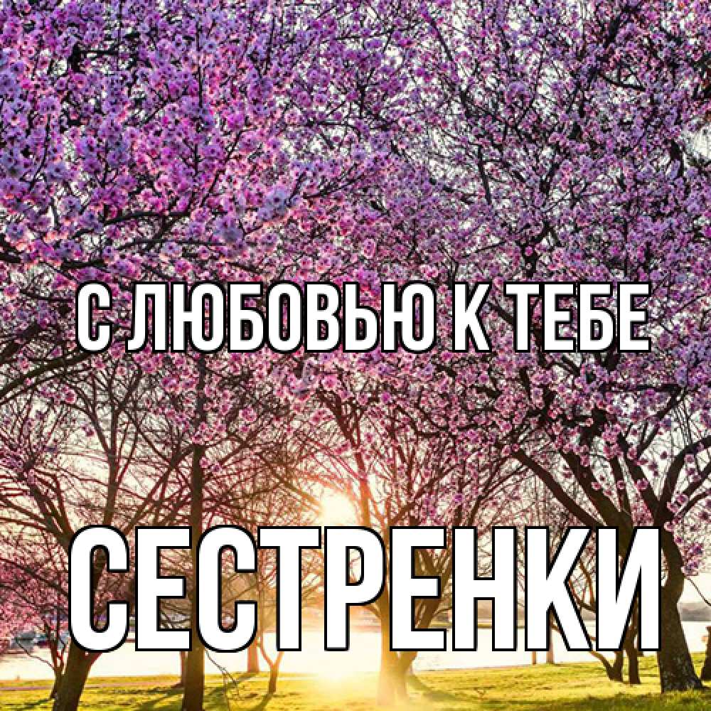 Открытка  с именем. Сестренки, С любовью к тебе  