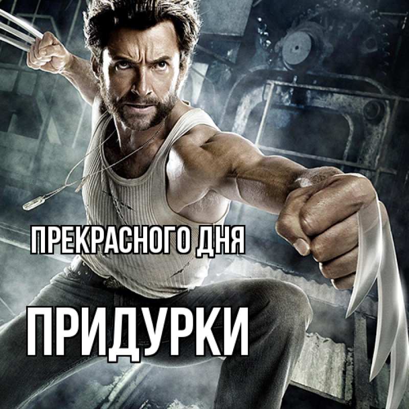 Картинка Прекрасного дня, Придурки