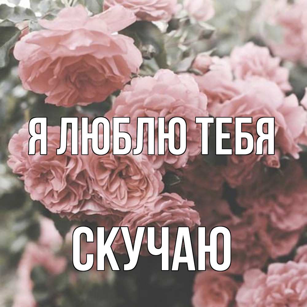 Открытка  с именем. Скучаю, Я люблю тебя  