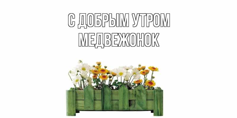 Картинка С добрым утром, Медвежонок