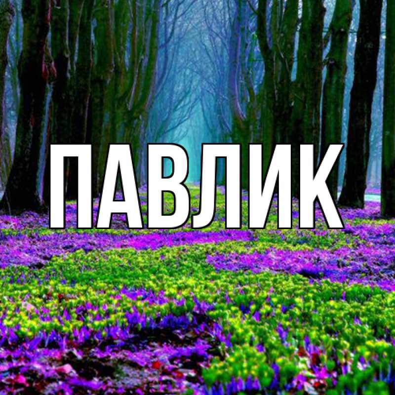 Картинка  с именем , Павлик