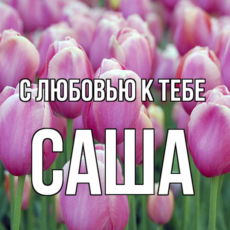 Картинка С любовью к тебе, Саша