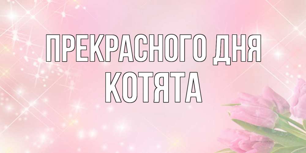 Открытка  с именем. Котята, Прекрасного дня  