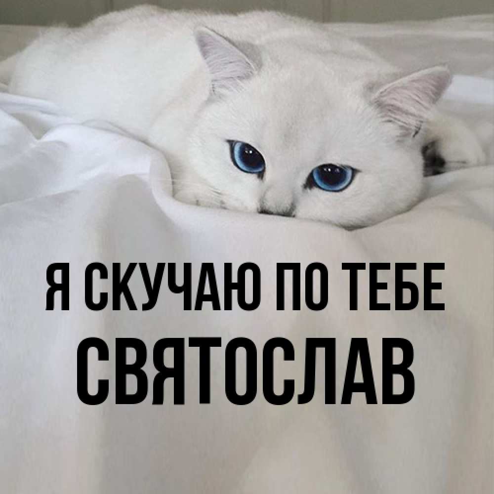 Открытка  с именем. Святослав, Я скучаю по тебе  