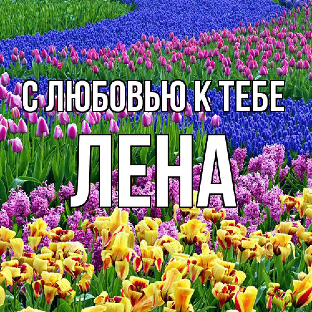 Открытка  с именем. лена, С любовью к тебе  