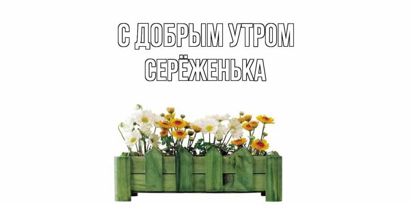Картинка С добрым утром, Серёженька