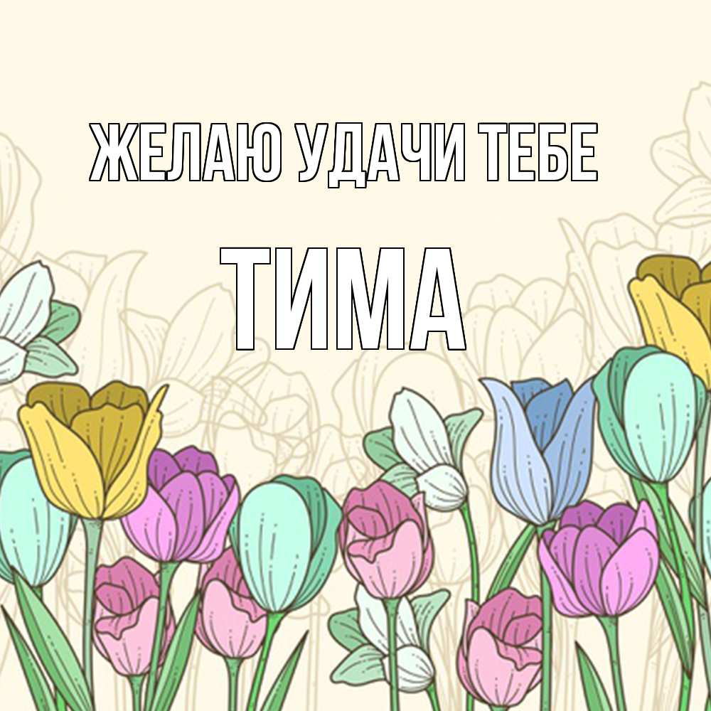 Открытка  с именем. Тима, Желаю удачи тебе  