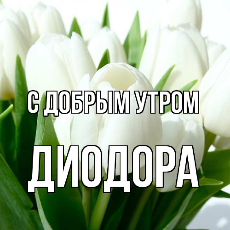 Картинка С добрым утром, Диодора