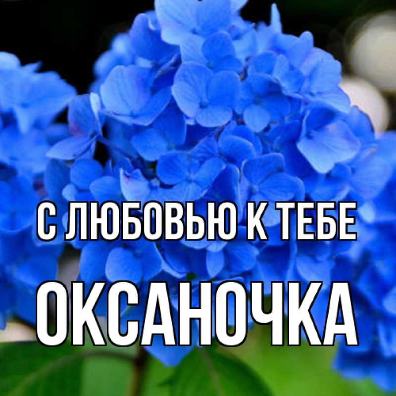 Картинка С любовью к тебе, ОКСАНОЧКА