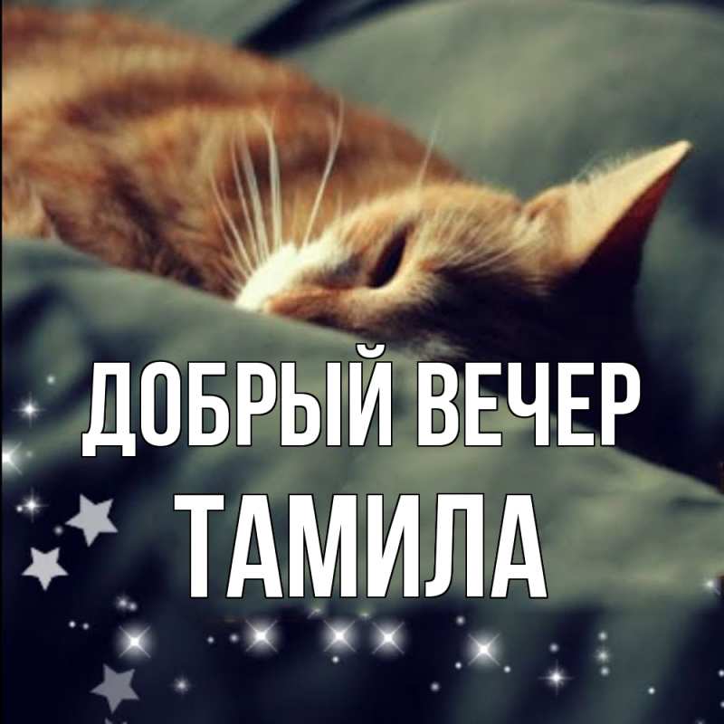 Картинка Добрый вечер, Тамила