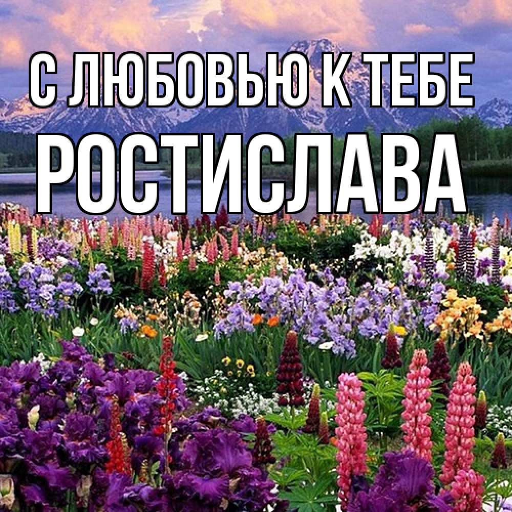 Открытка  с именем. Ростислава, С любовью к тебе  