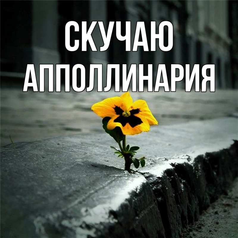 Открытка с именем, Апполлинария, Скучаю