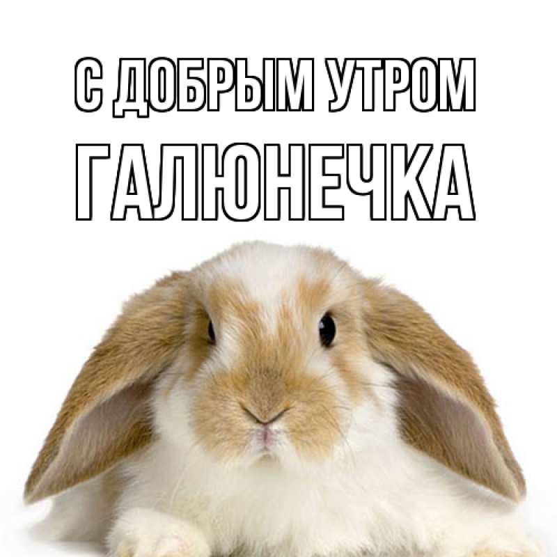 Картинка С добрым утром, Галюнечка