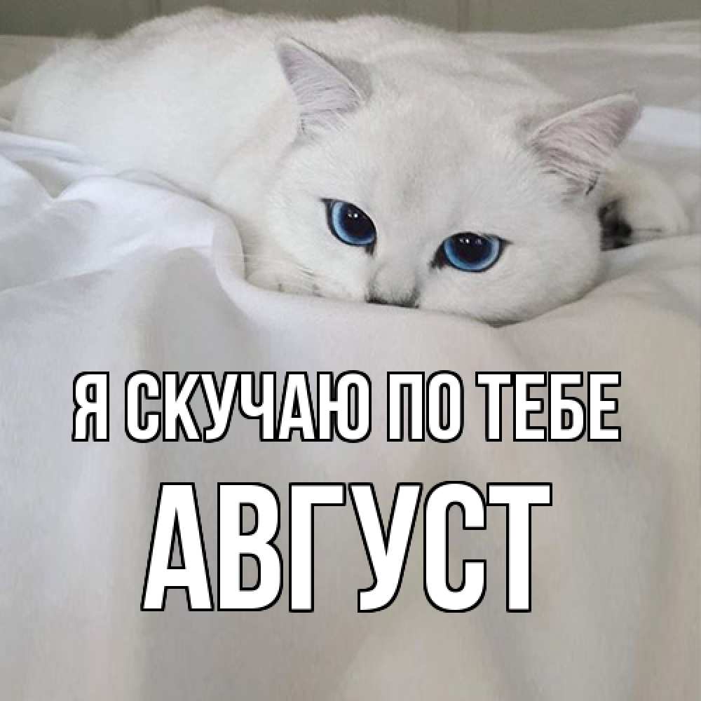 Открытка  с именем. Август, Я скучаю по тебе  