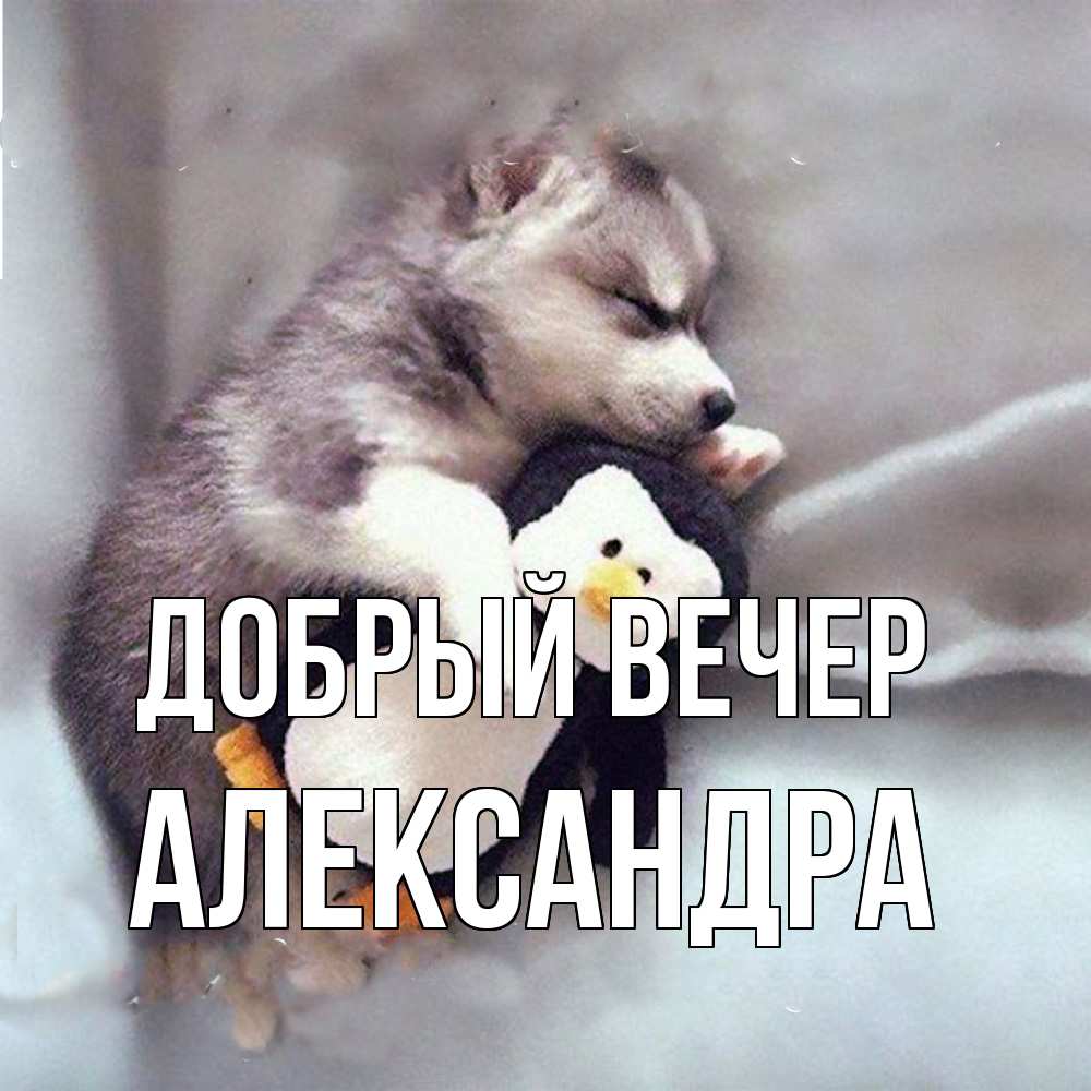 Открытка  с именем. Александра, Добрый вечер  