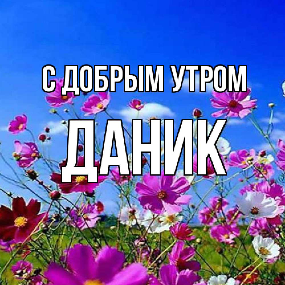 Открытка  с именем. Даник, С добрым утром  