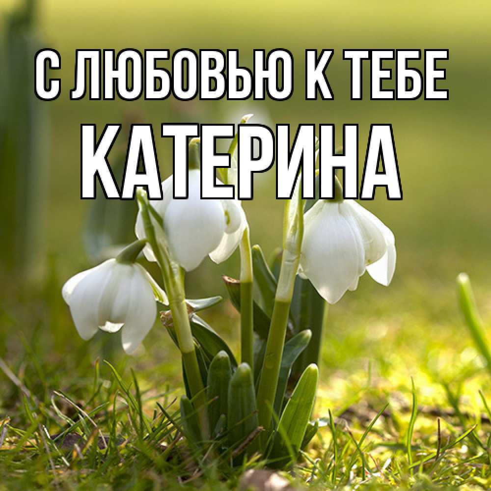 Открытка  с именем. Катерина, С любовью к тебе  
