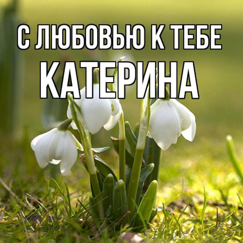 Картинка С любовью к тебе, Катерина