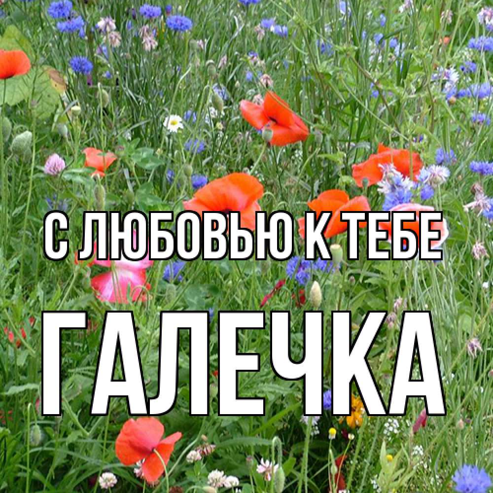 Открытка  с именем. Галечка, С любовью к тебе  