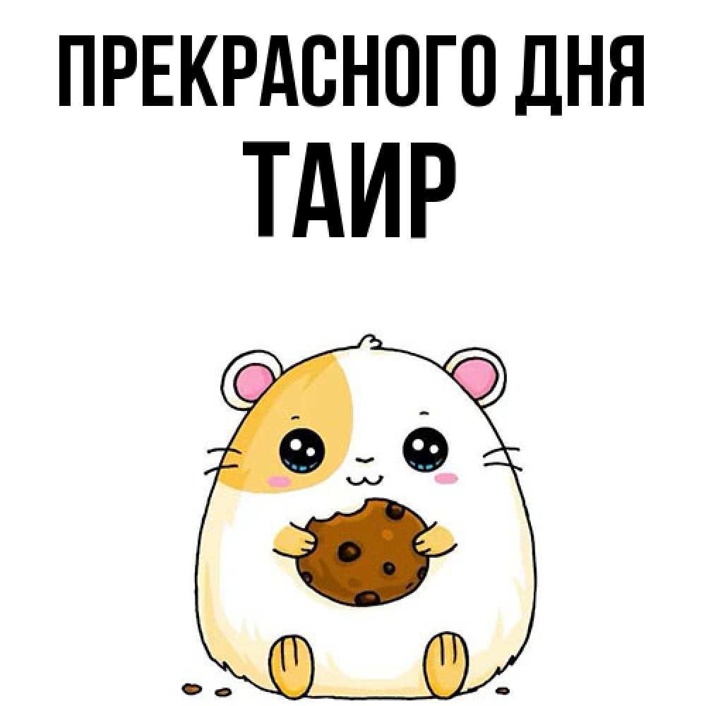 Открытка  с именем. Таир, Прекрасного дня  