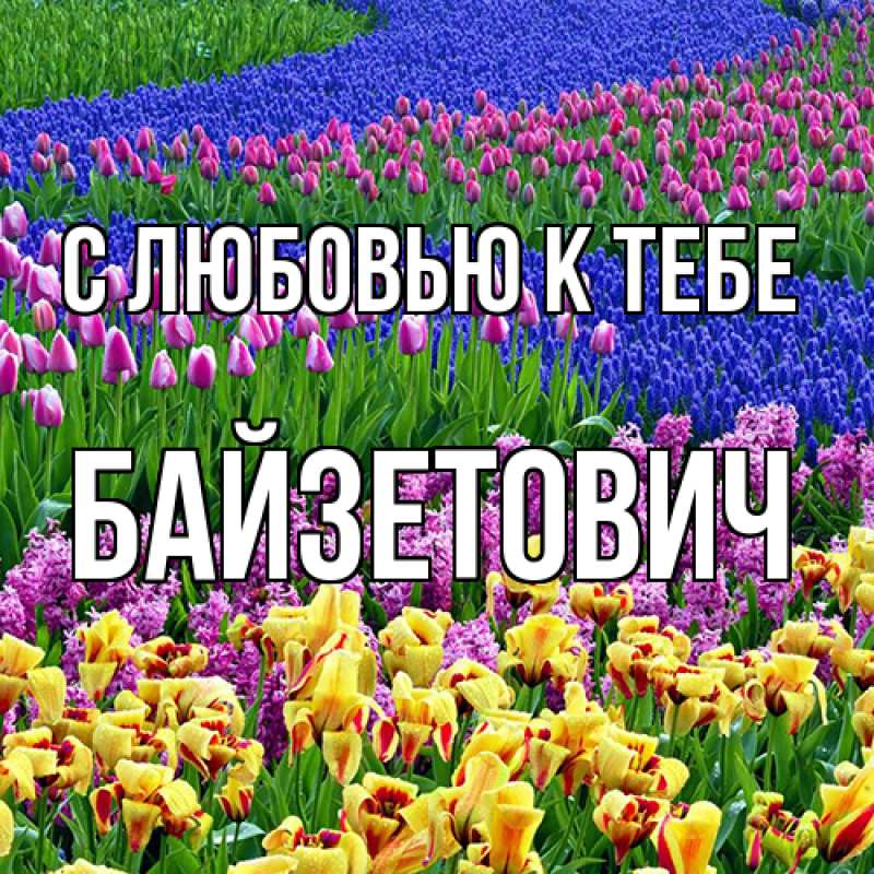 Картинка С любовью к тебе, Байзетович