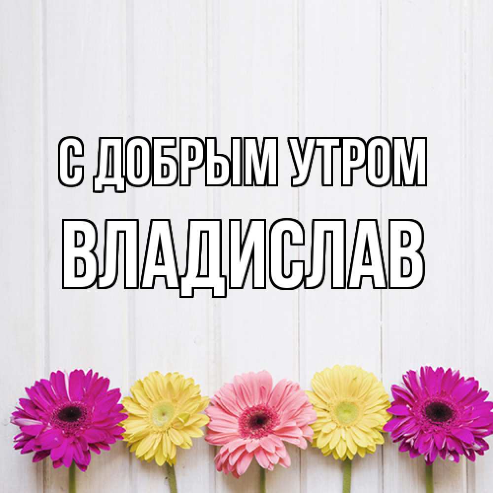 Открытка  с именем. Владислав, С добрым утром  
