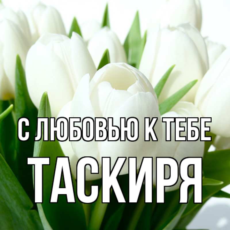 Картинка С любовью к тебе, Таскиря