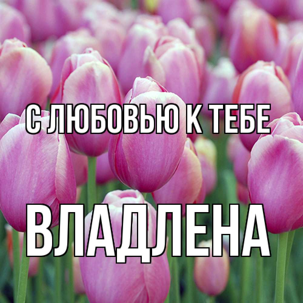 Открытка  с именем. Владлена, С любовью к тебе  