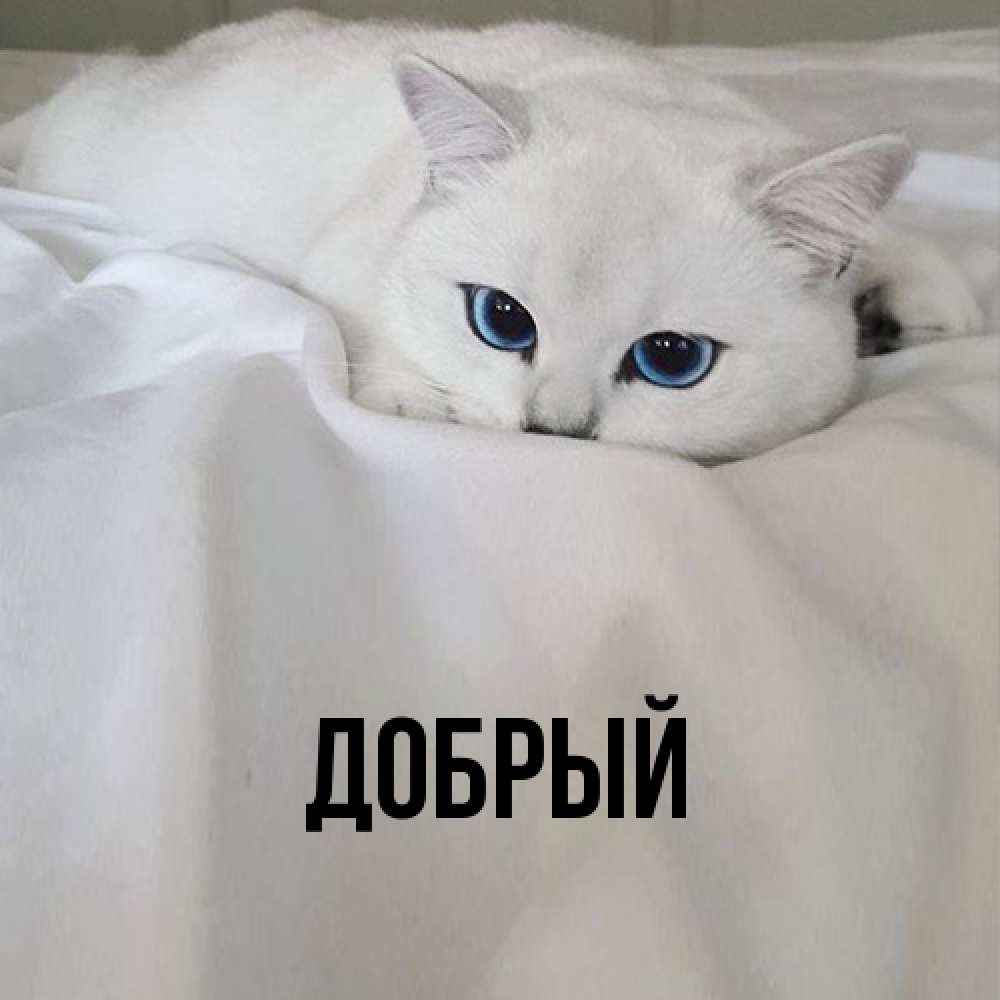 Открытка  с именем. Добрый, Главная  