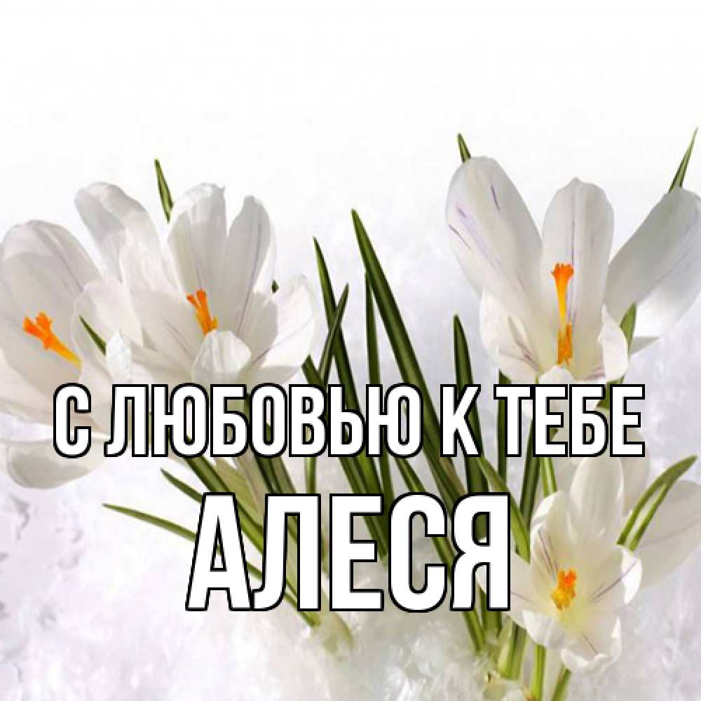 Открытка  с именем. Алеся, С любовью к тебе  