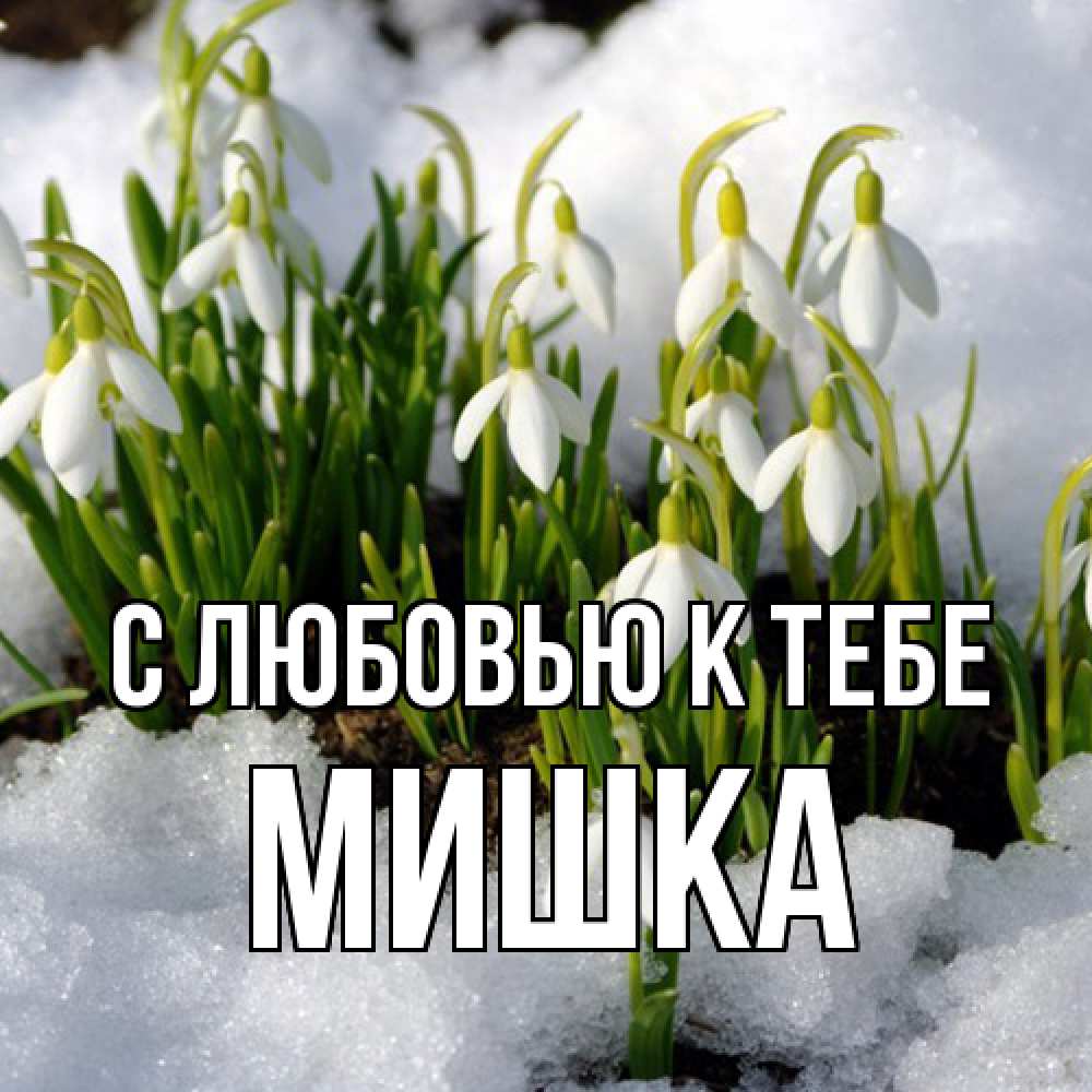 Открытка  с именем. Мишка, С любовью к тебе  