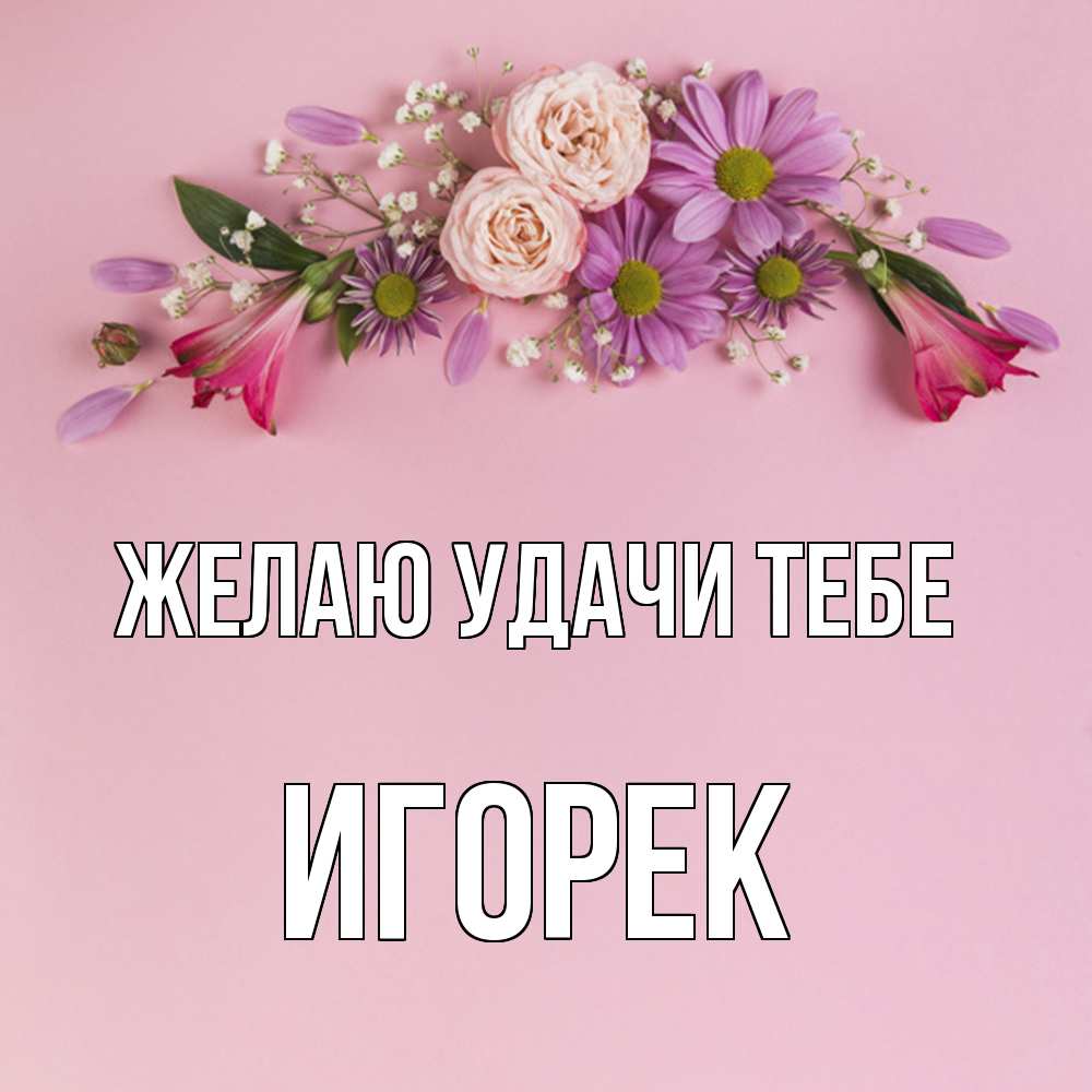 Открытка  с именем. Игорек, Желаю удачи тебе  