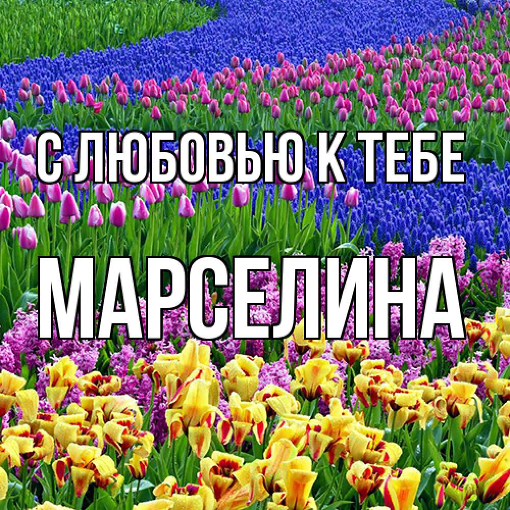 Открытка  с именем. Марселина, С любовью к тебе  