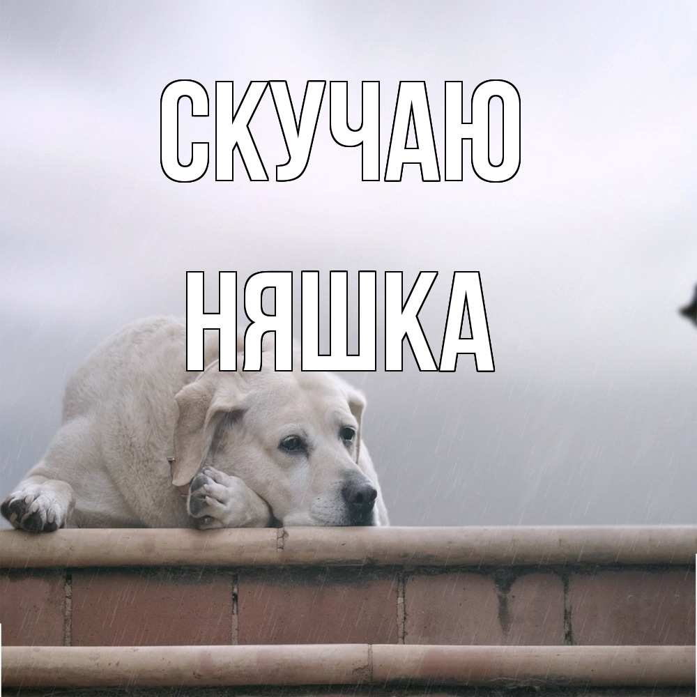 Открытка  с именем. Няшка, Скучаю  