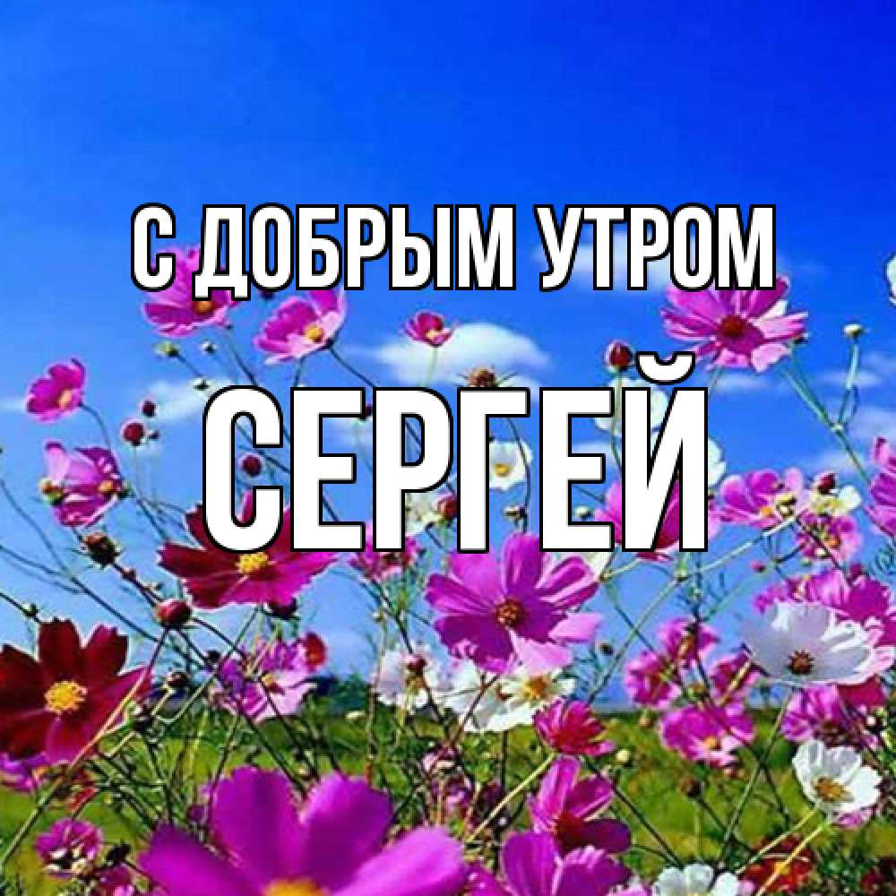 Открытка  с именем. Сергей, С добрым утром  