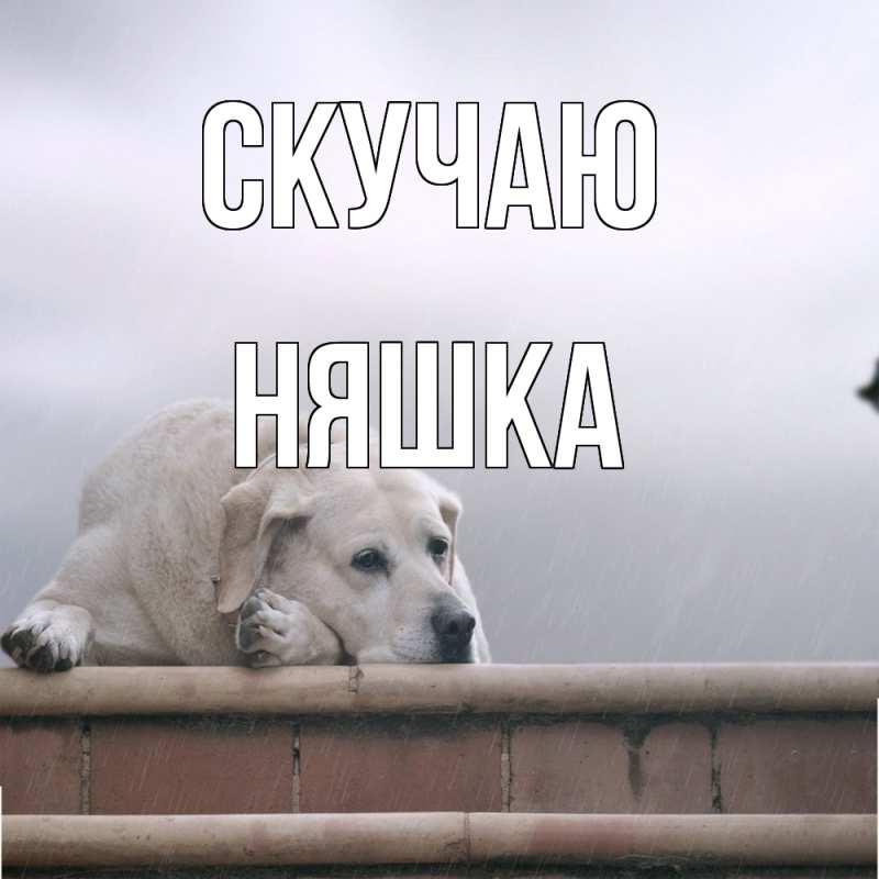 Картинка Скучаю, Няшка