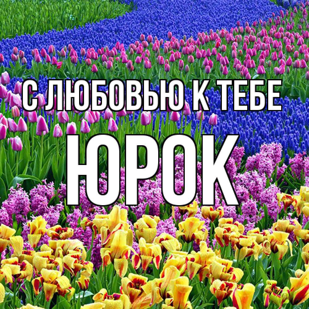 Открытка  с именем. Юрок, С любовью к тебе  