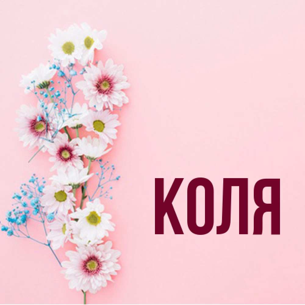Открытка  с именем. коля, Главная  