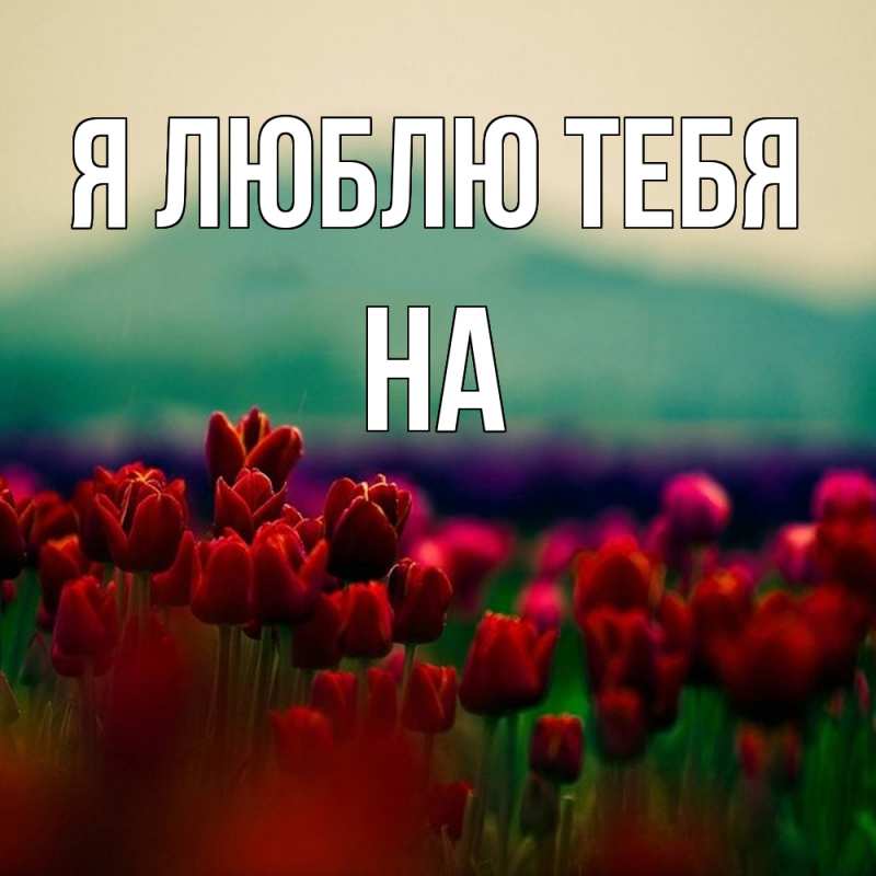 Картинка Я люблю тебя, на