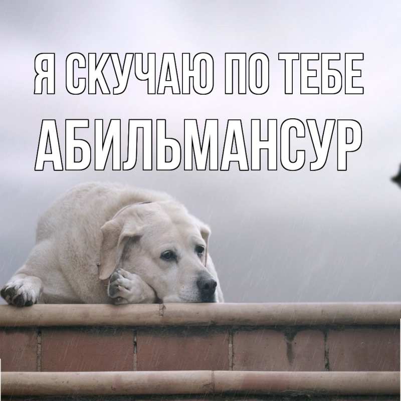 Картинка Я скучаю по тебе, Абильмансур