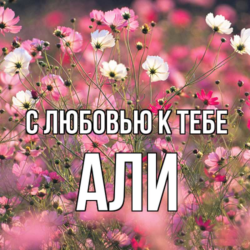 Картинка С любовью к тебе, Али