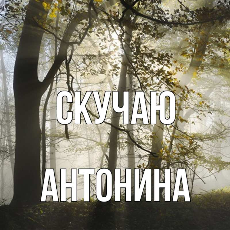 Картинка Скучаю, Антонина
