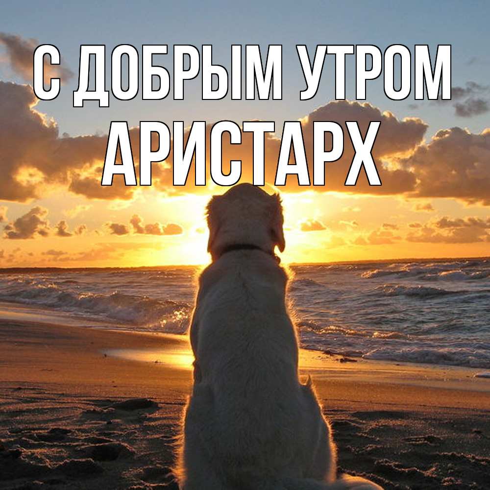 Открытка  с именем. Аристарх, С добрым утром  